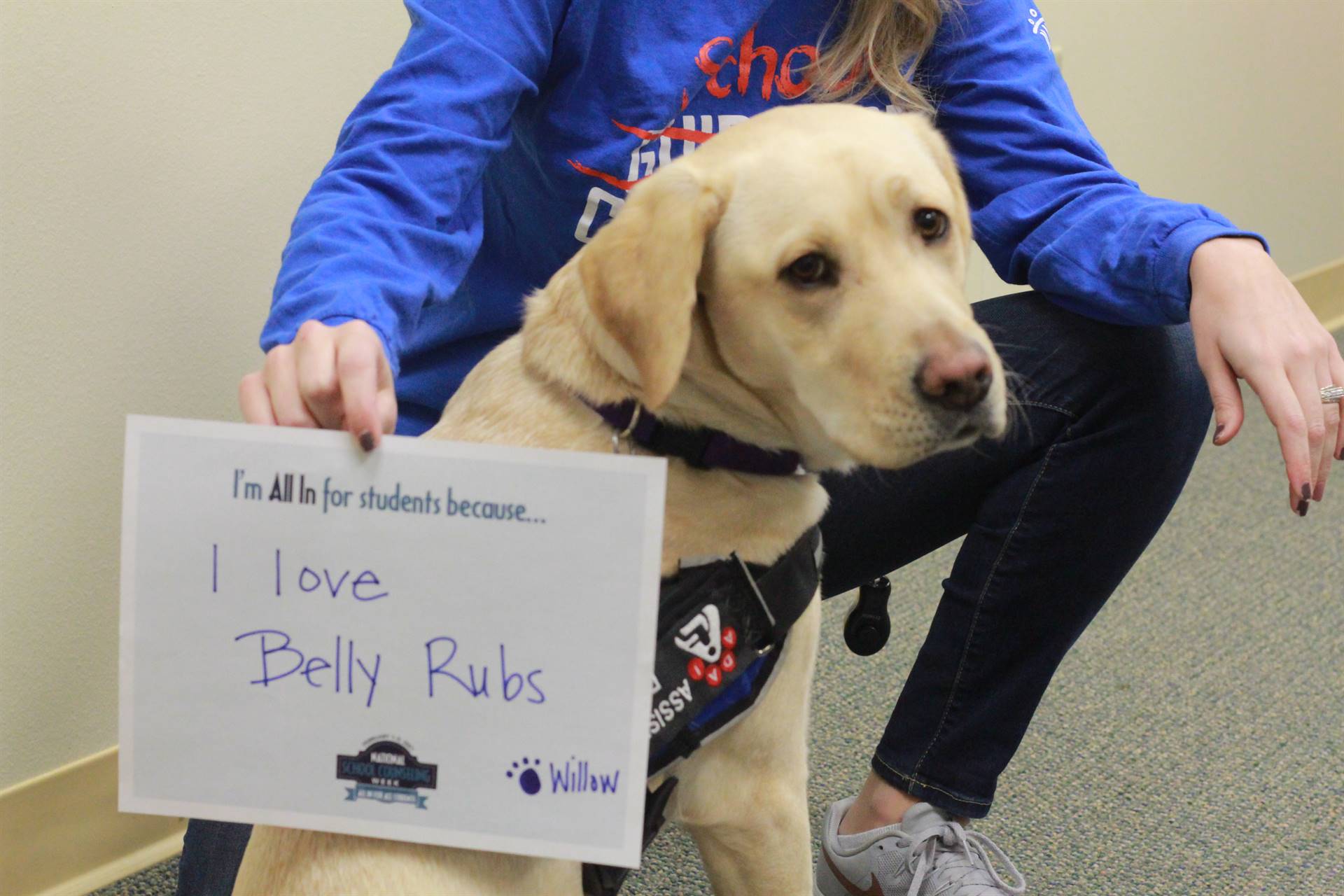 Willow School Therapy Dog in Training