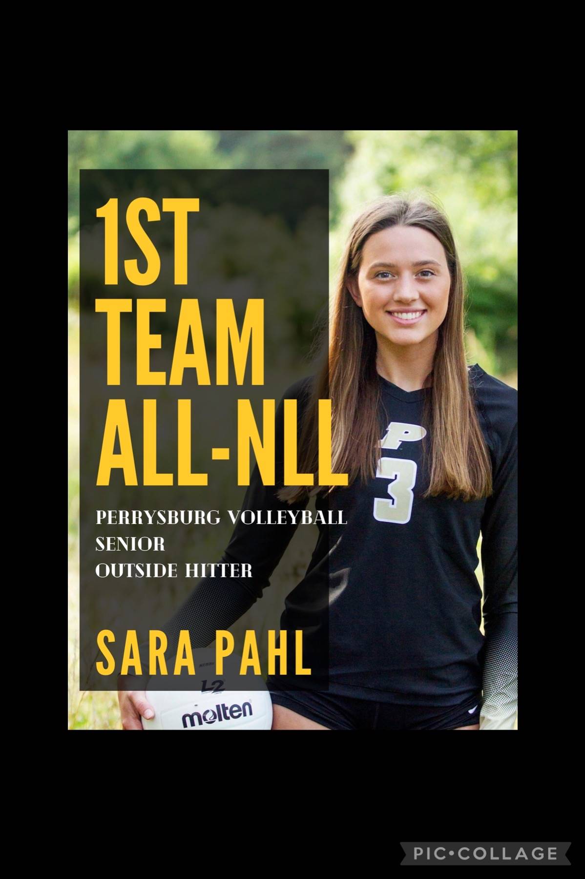 Sara nll