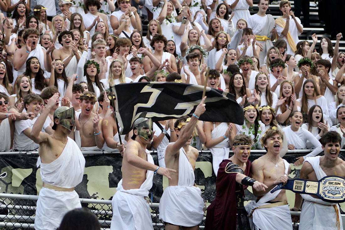 crowd in bleachers wearing costumes