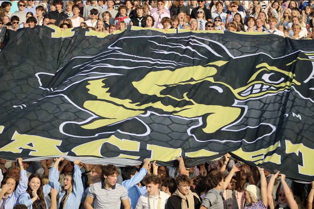 large flag with crowd in bleachers